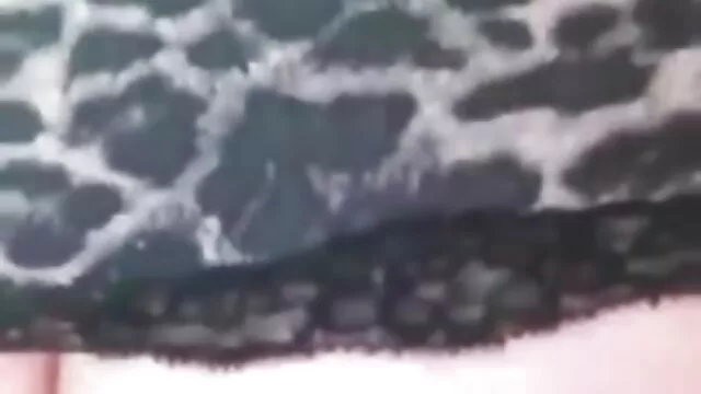 عاشق دانلود فیلم سریال سکسی بلوند رنگ پریده
