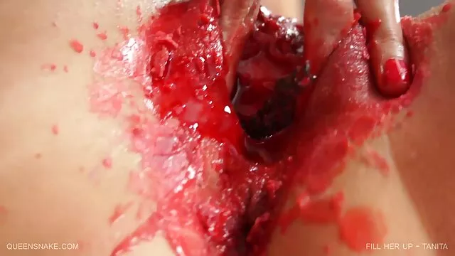 مدل های vixen را با فیلم سکسی لاکچری نماینده درگیر کنید تا به خواسته خود برسید