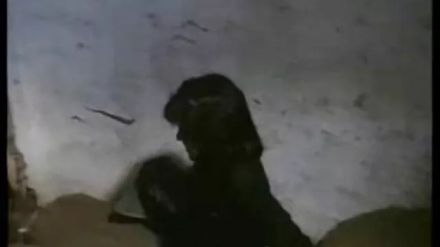 لب به لب حبابی برهنه فلم سکس باحیوانات